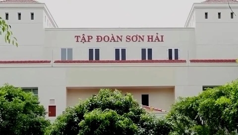 Vụ Tập đoàn Sơn Hải trượt thầu: Chính phủ phê bình Bộ Tài chính thiếu trách nhiệm - Ảnh 1.