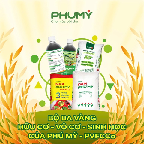 Bộ ba vàng vô cơ - hữu cơ - sinh học của Phú Mỹ - Ảnh 1.