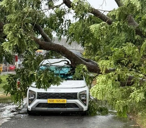 TP.HCM mưa dông lớn giữa trưa, cây xanh ngã đổ nhiều nơi - Ảnh 3. mưa dông - Ảnh 5.