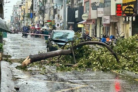 TP.HCM mưa dông giữa trưa, cây xanh ngã đổ nhiều nơi - Ảnh 2. mưa dông - Ảnh 2.