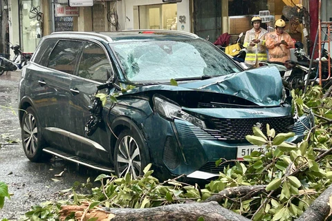 TP.HCM mưa dông giữa trưa, cây xanh ngã đổ nhiều nơi - Ảnh 3. mưa dông - Ảnh 1.
