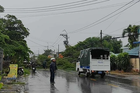 TP.HCM mưa dông lớn giữa trưa, cây xanh ngã đổ nhiều nơi - Ảnh 4. mưa dông - Ảnh 3.