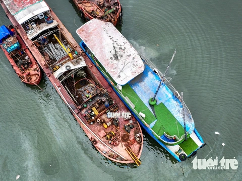Hạ Long - Ảnh 2.
