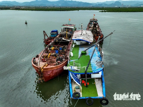Hạ Long - Ảnh 4.