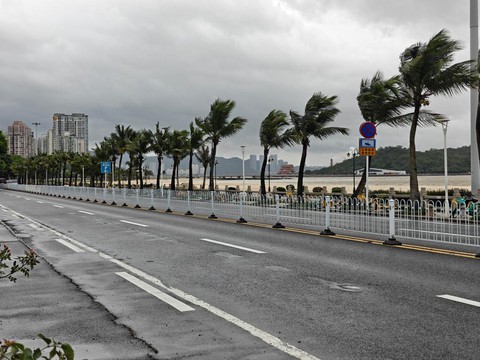 Bão Wipha - Ảnh 1.