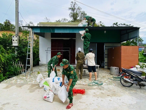 Bão Wipha - Ảnh 2.
