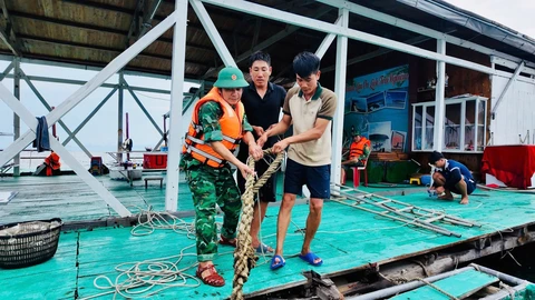 Quảng Ninh huy động quân đội, xe đặc chủng ứng phó bão số 3 (Wipha), đã đưa 8.000 du khách vào bờ - Ảnh 1.