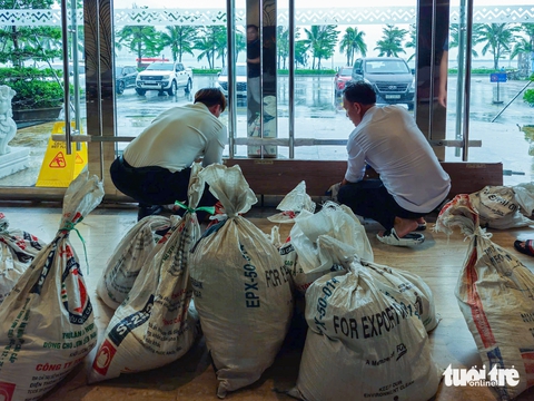 Đưa 7.500 người dân lên bờ, giúp dân chằng chống nhà cửa trước bão số 3 Wipha - Ảnh 8.