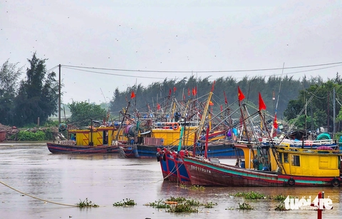 Phó thủ tướng: Bão số 3 có thể tăng cường độ, đặc biệt trong điều kiện triều cường giống bão Yagi - Ảnh 3. bão số 3 - Ảnh 3.