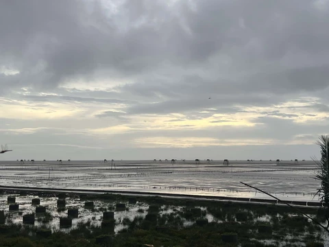 bão số 3 - Ảnh 4.