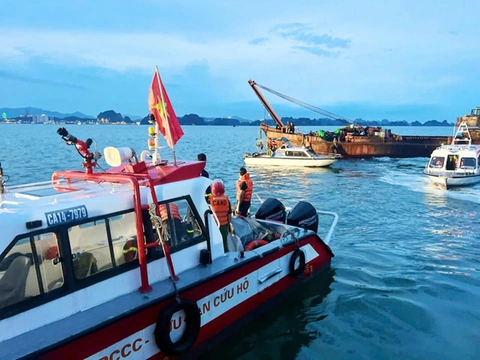 bảo hiểm - Ảnh 1.