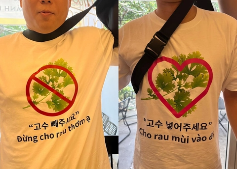rau mùi - Ảnh 2.