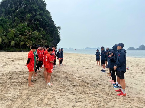 tuyển nữ việt nam - Ảnh 1.