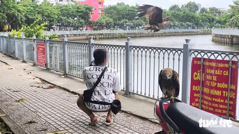 Vô tư huấn luyện chim diều lửa không giấy tờ trên bờ kênh Nhiêu Lộc - Thị Nghè- Ảnh 1. diều lửa - Ảnh 1.