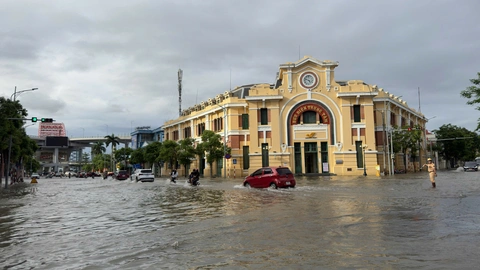 hải phòng - Ảnh 7.