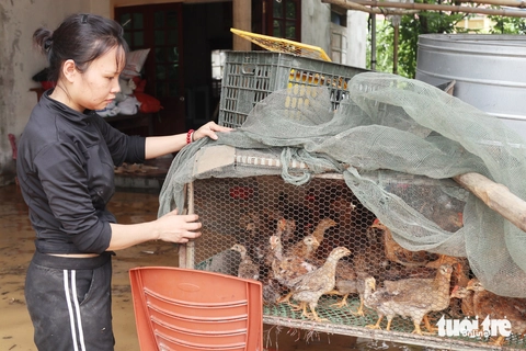 nghệ an - Ảnh 10.