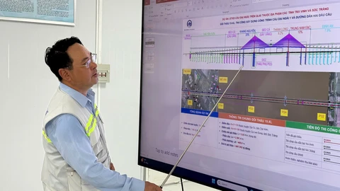 Đại Ngãi - Ảnh 1.