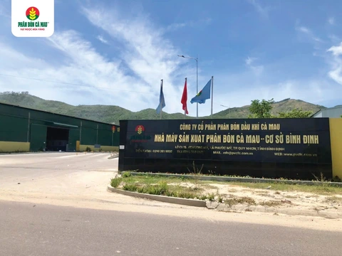 pvcfc - Ảnh 1.
