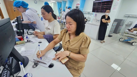 hải phòng - Ảnh 1.