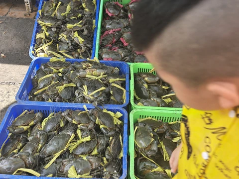 Muốn ăn hải sản Vũng Tàu, nương theo mùi khói bếp vào chợ Xóm Lưới - Ảnh 10.
