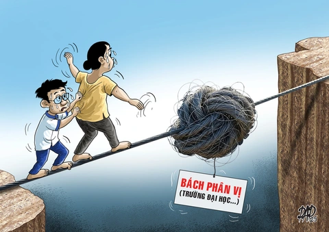 bách phân vị - Ảnh 1.