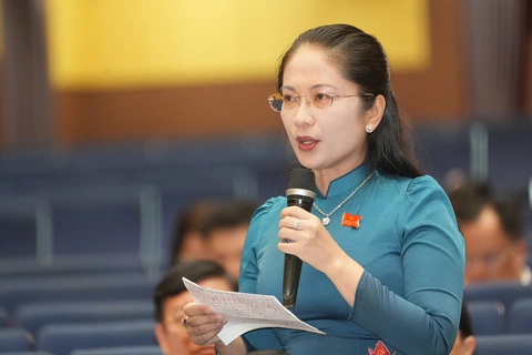 đội quản lý trật tự đô thị - Ảnh 1.