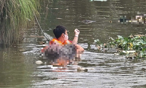 thi thể - Ảnh 3.