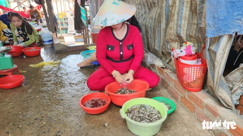 Nước phù sa đỏ quạch trên các sông, 'đặc sản' mùa lũ miền Tây đã về - Ảnh 2.