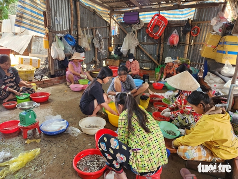 Nước phù sa đỏ quạch trên các sông, 'đặc sản' mùa lũ miền Tây đã về - Ảnh 6.