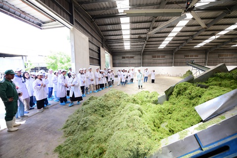Vinamilk - Ảnh 7.