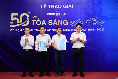 Tổng công ty Điện lực miền Nam - Ảnh 8.