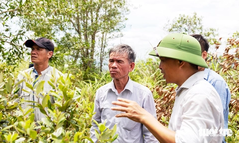 Đi tìm hình bóng anh trai - Ảnh 3. liệt sĩ - Ảnh 3.