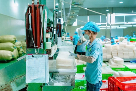 bánh tráng - Ảnh 1.