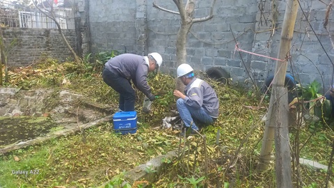 UBND TP Hải Phòng yêu cầu xử lý vụ rò rỉ hóa chất tại Nhà máy bột giặt VICO - Ảnh 1.