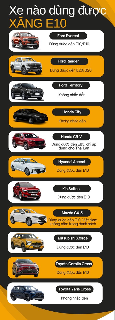 xăng sinh học - Ảnh 7.