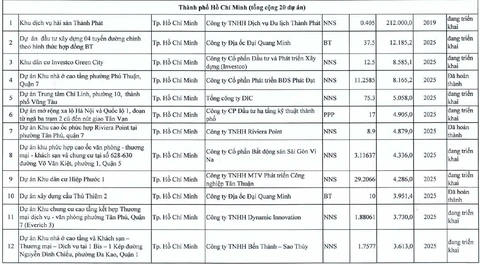 Thanh tra Chính phủ thanh tra nhiều dự án hạ tầng trong 20 dự án ở TP.HCM - Ảnh 2.