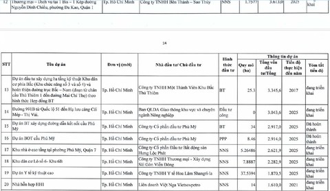 Thanh tra Chính phủ thanh tra nhiều dự án hạ tầng trong 20 dự án ở TP.HCM - Ảnh 3.