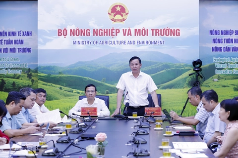 Vì sao địa phương gặp khó khi được phân quyền cấp giấy chứng nhận để thanh long, hồ tiêu... sang EU? - Ảnh 3.