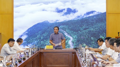 sầu riêng - Ảnh 2.