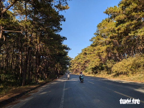 Gia Lai - Ảnh 4.