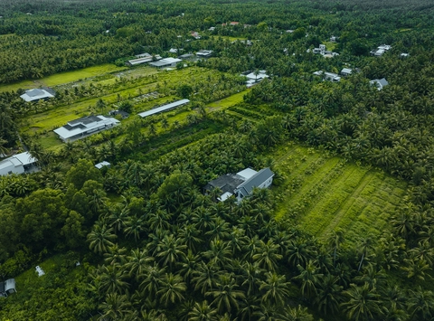 Bến Tre - Ảnh 19.