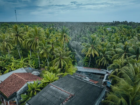 Bến Tre - Ảnh 5.