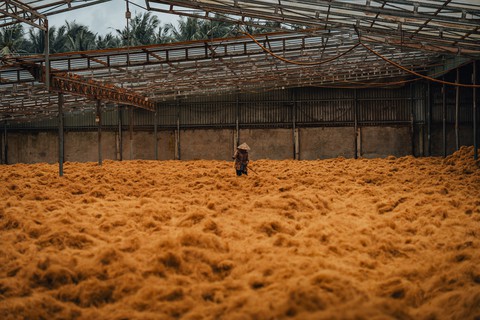 Bến Tre - Ảnh 16.