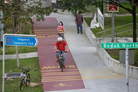 Singapore - Ảnh 1.