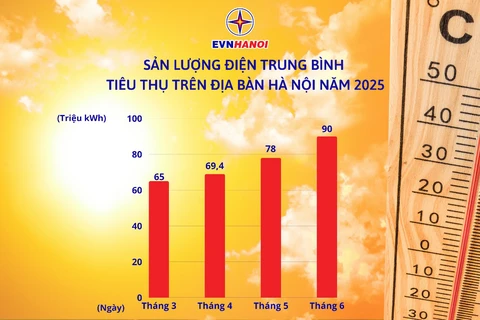 EVNHANOI - Ảnh 1.