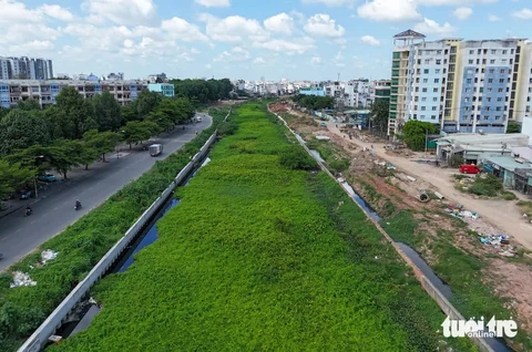 dự án - Ảnh 1.