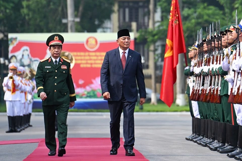 Đại tướng Phan Văn Giang hội đàm với Bộ trưởng Bộ Quốc phòng Indonesia - Ảnh 1.