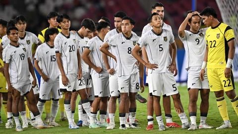 Indonesia - Ảnh 1.