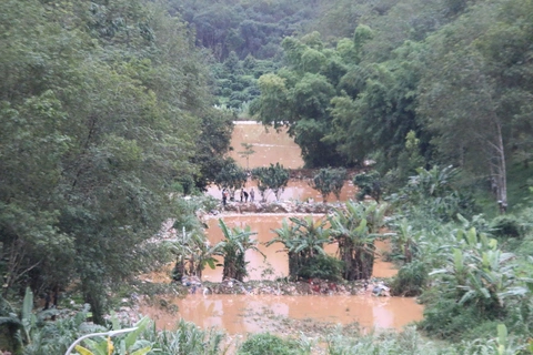 rác - Ảnh 4.