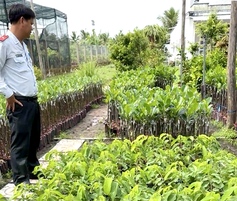 Vụ kiểm tra cơ sở cây giống gây xôn xao: Phạt chủ cơ sở hơn 3,7 triệu đồng - Ảnh 1.